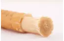 Misvak Faydaları Nelerdir?